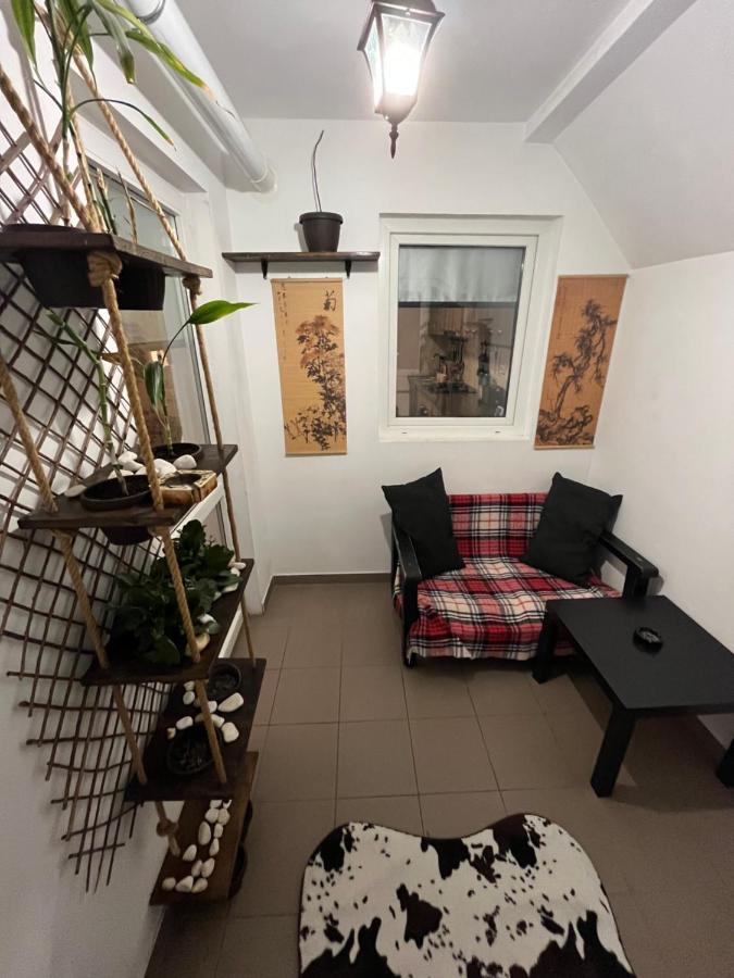 O Mansarda Intima :) - The Intimate Attic :) Apartment Bragadiru Exterior photo